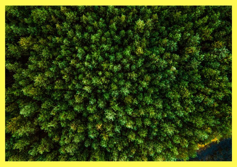 Valores Estudio Algaba